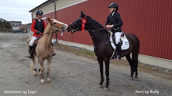D-stevne Rogaland Rideklubb 11 og 12.mars 2017